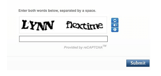 Example Captcha